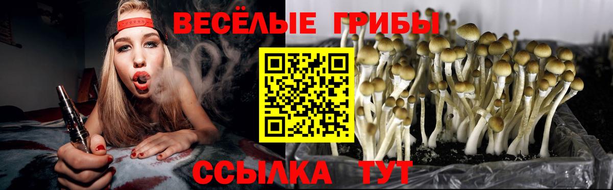 Галлюциногенные грибы мицелий  сколько стоит  Черногорск  Вход с VPN 